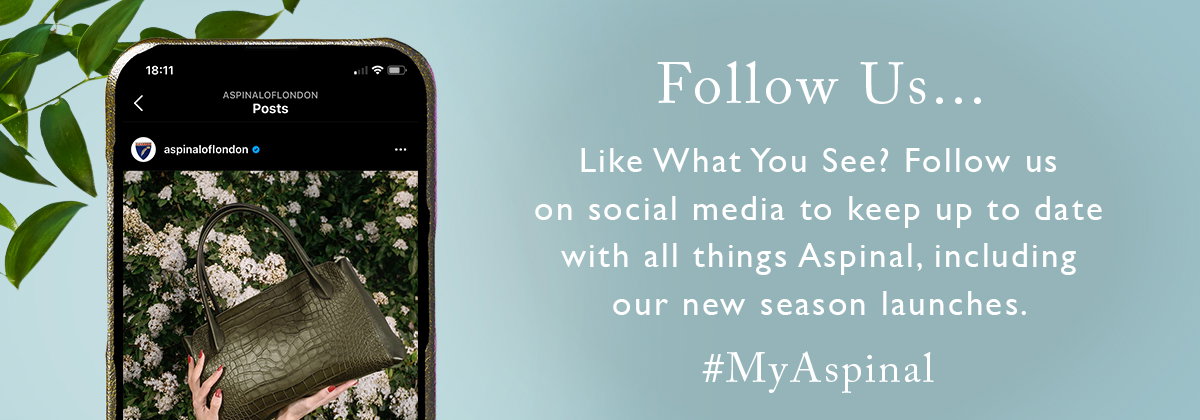 Follow Us