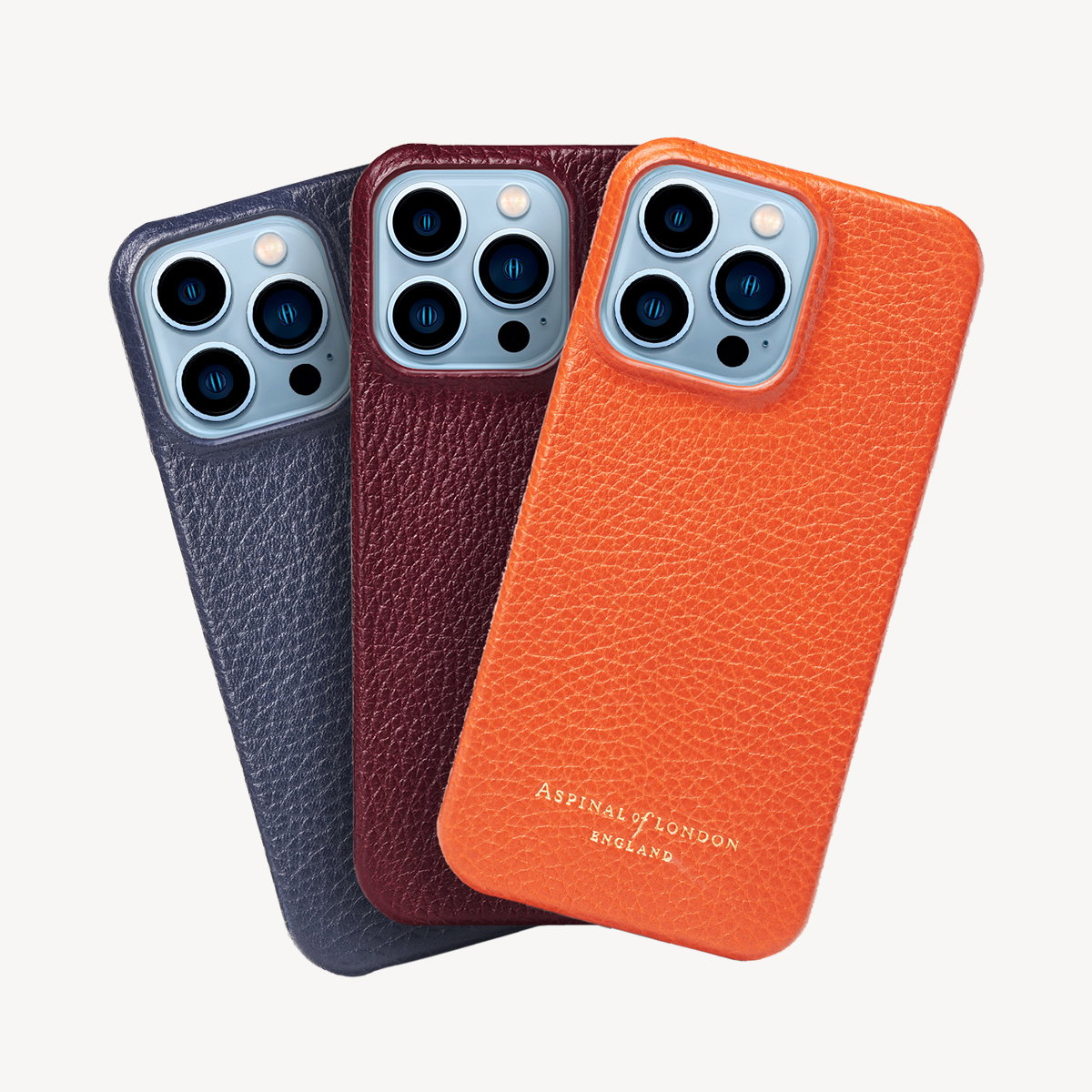 iPhone 13 Cases