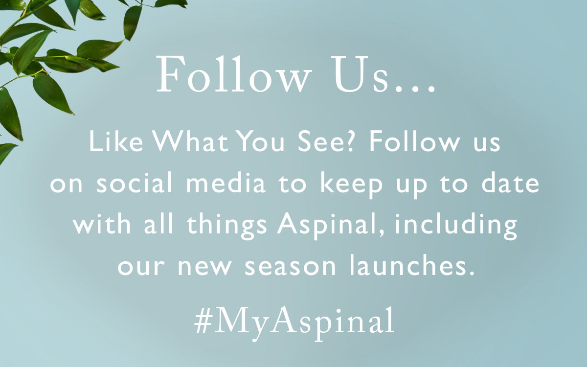 Follow Us