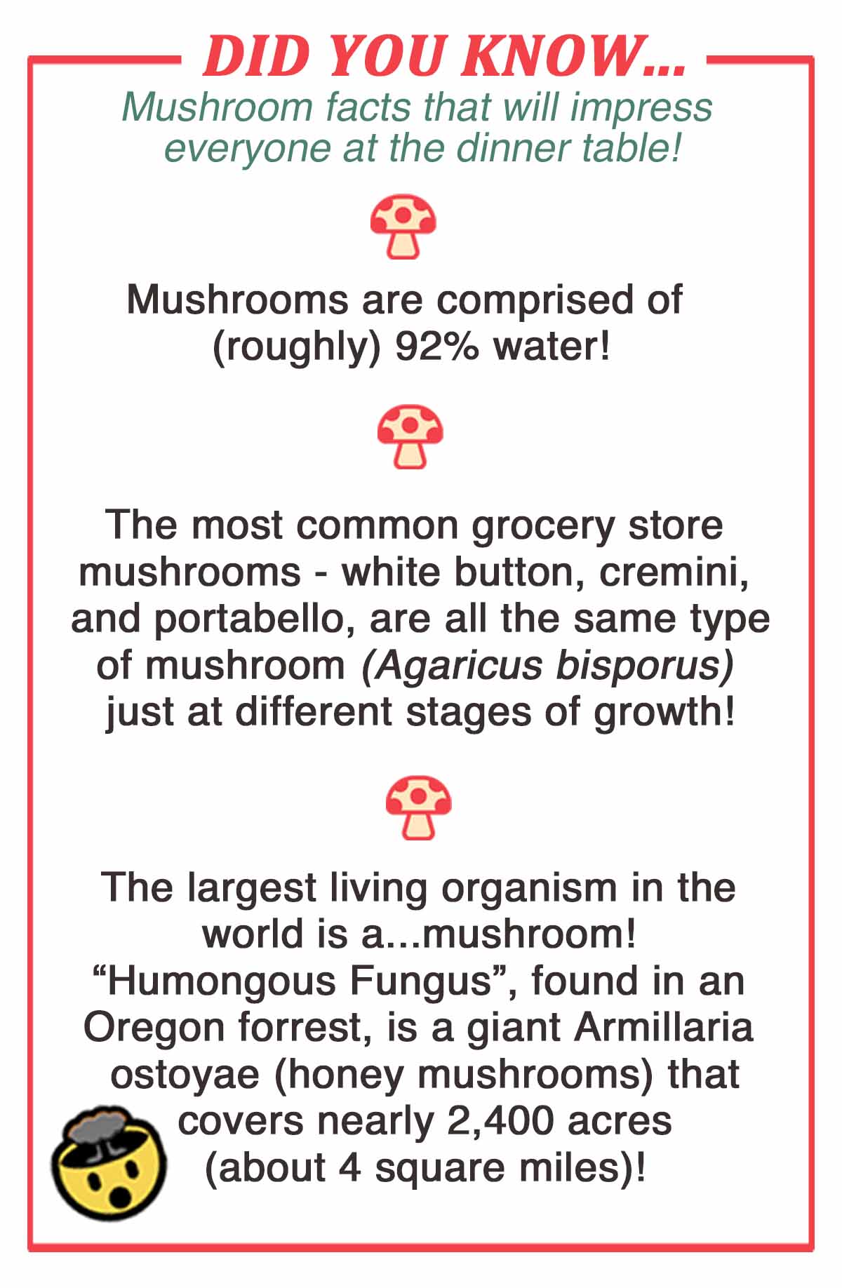 spicejungle It's National Mushroom Day! Milled