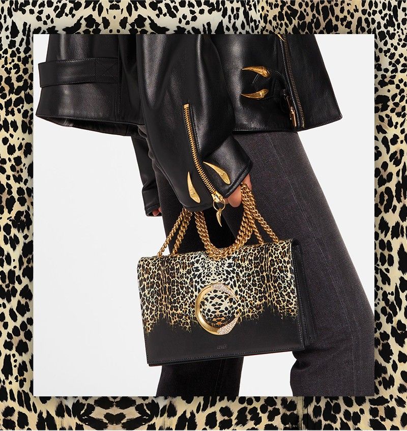 cavalli bags