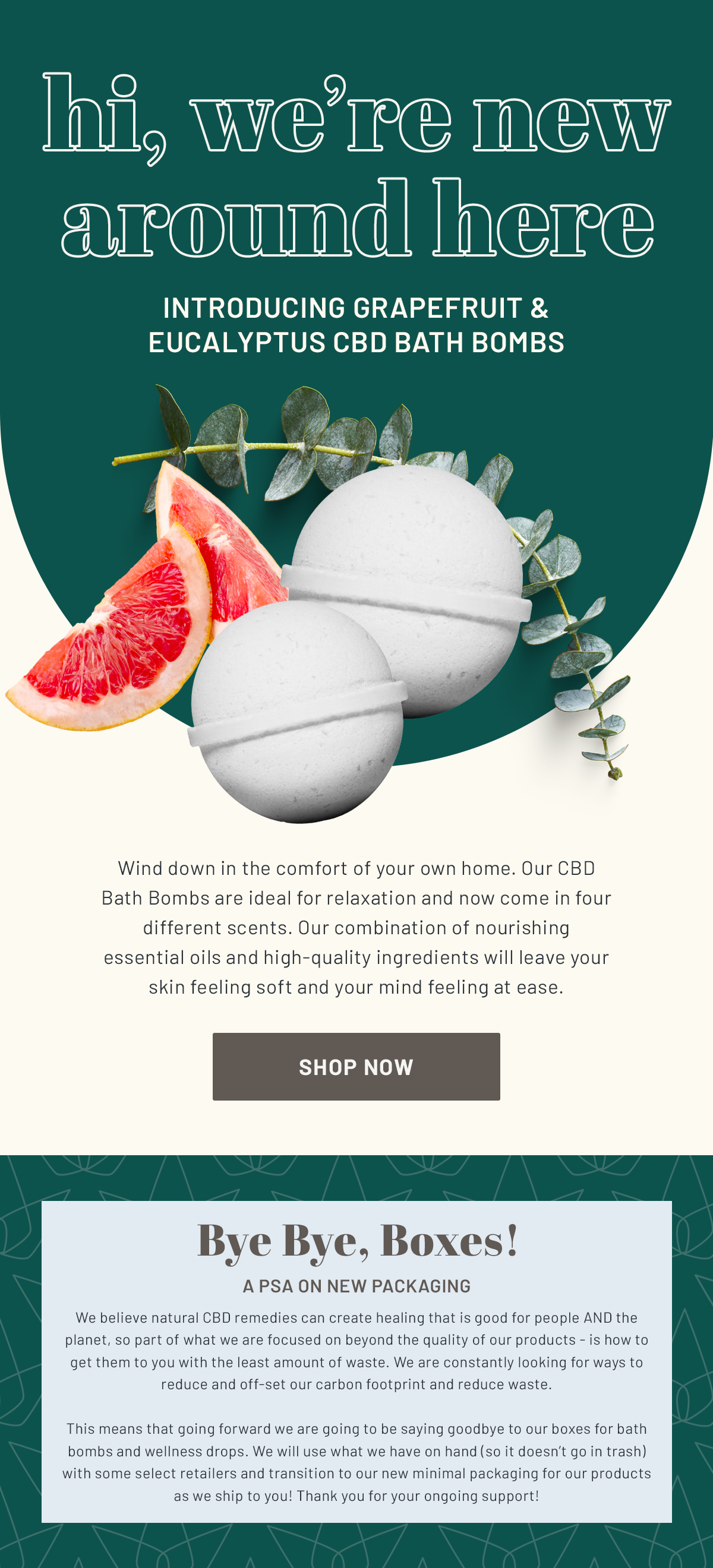 shop now