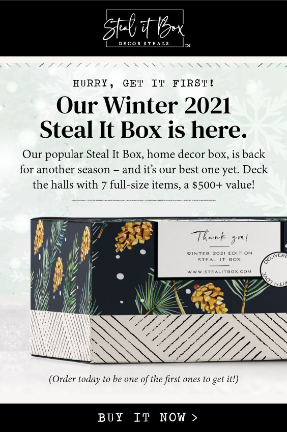 Our Winter 2021 Steal It Box is here.