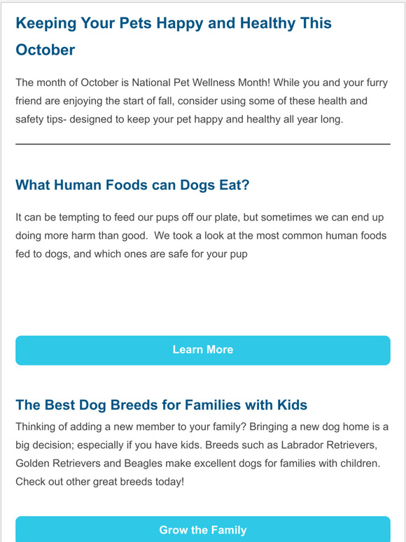 Tips and Tricks From Your Friends at MetLife Pet Insurance