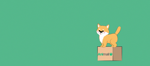 Animail Blir VetZoo