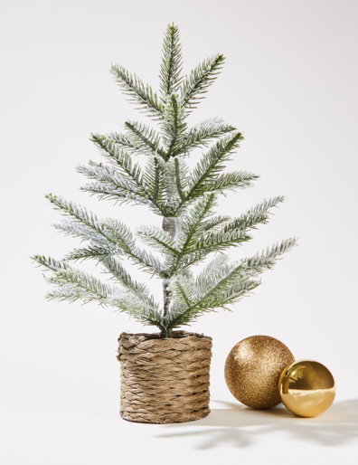 Mini flocked
Christmas tree with pot $10.