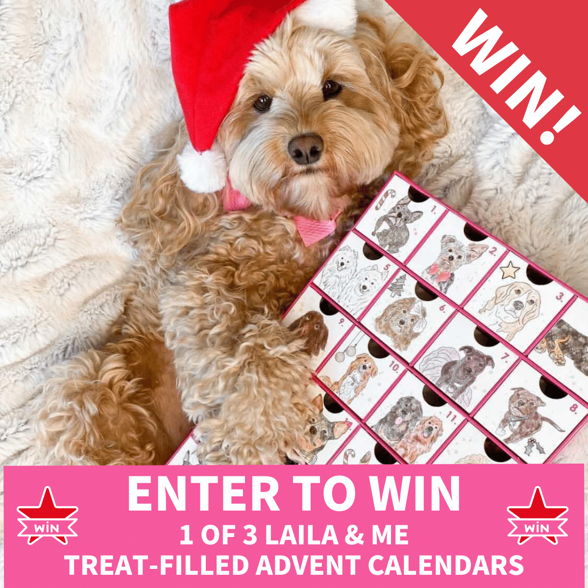 luckypet Win 1 of 3 Laila & Me Treat Advent Calendars Milled