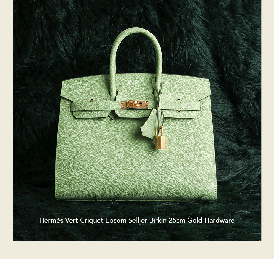 Hermes Birkin Handbag Vert Criquet Swift with Gold Hardware 25 Green