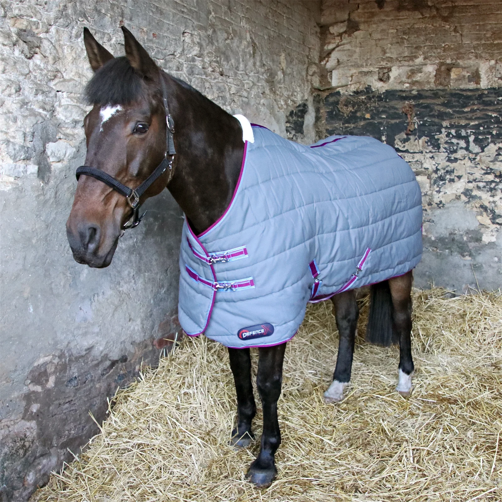 300gm HEAVY WEIGHT Standard Neck HKM Quilted stable rug FREE DELIVERY 