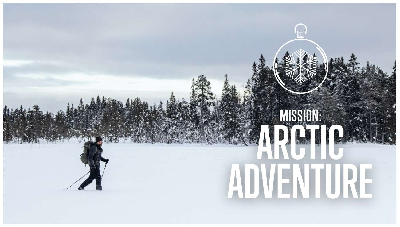Arctic Adventure