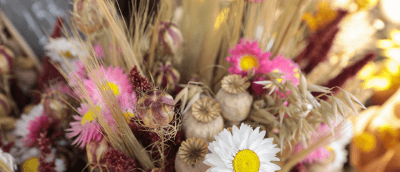 Organic Nature Style