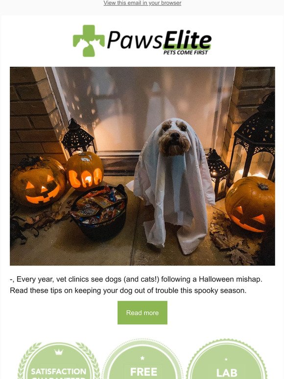 Halloween Safety Tips For Pets