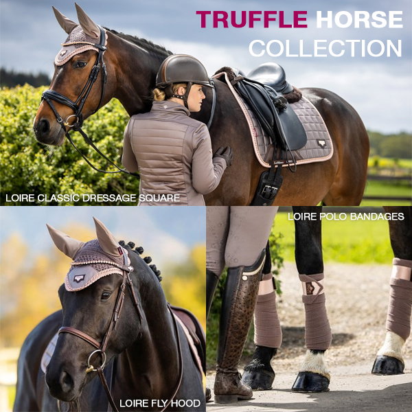 LeMieux Truffle Horse Collection 