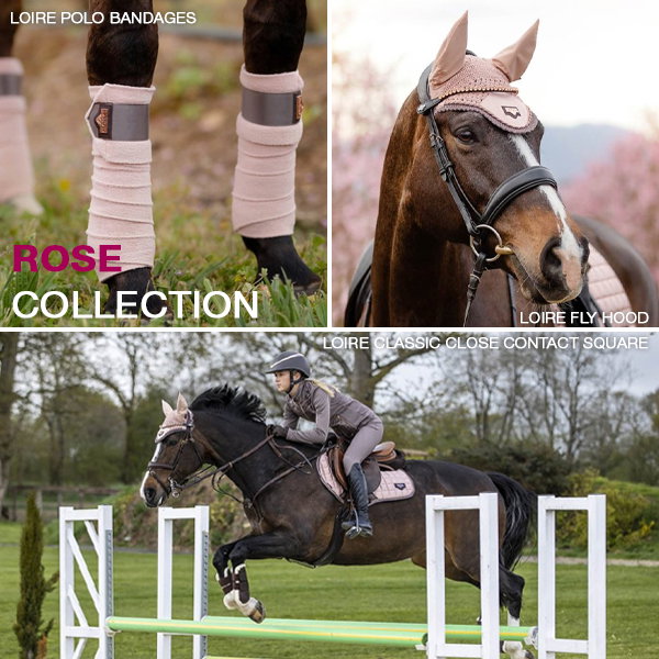 LeMieux Rose Rider Collection
