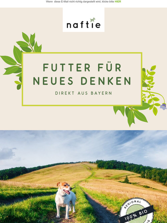 Gesunder Darm - gesunder Hund!