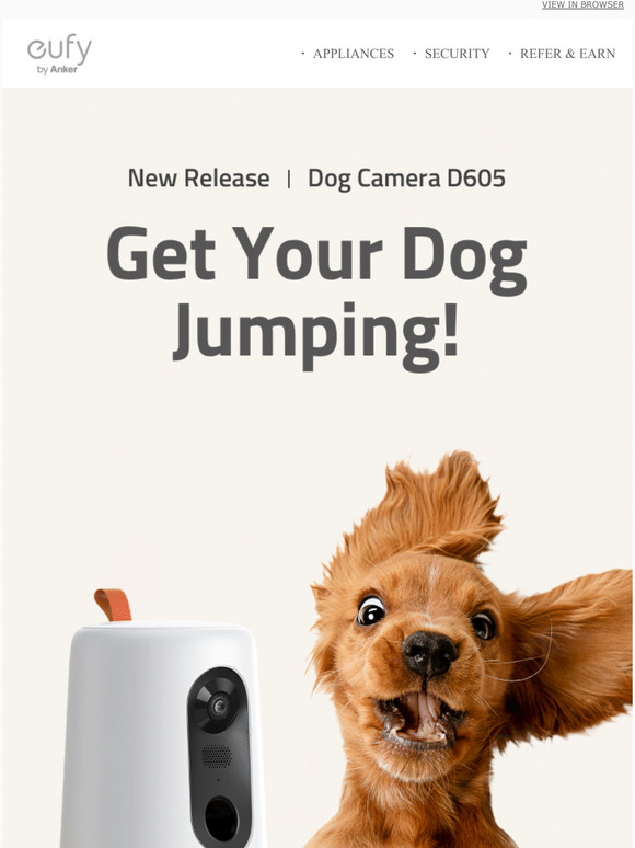 Woof Wooof WOOOOF (This Email is For Your Dog)