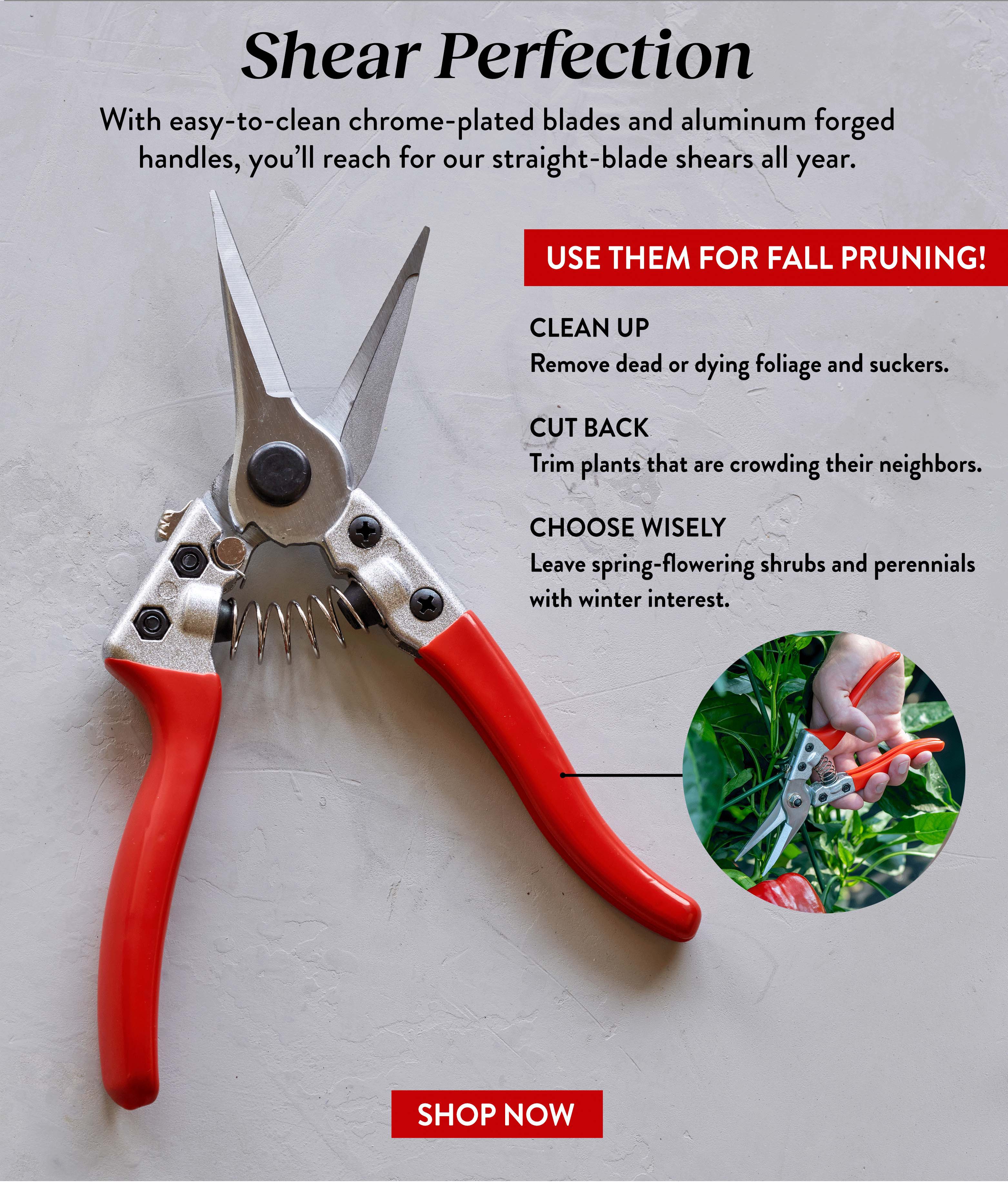 Burpee Gardening The Sharpest Tool in the Shed Milled