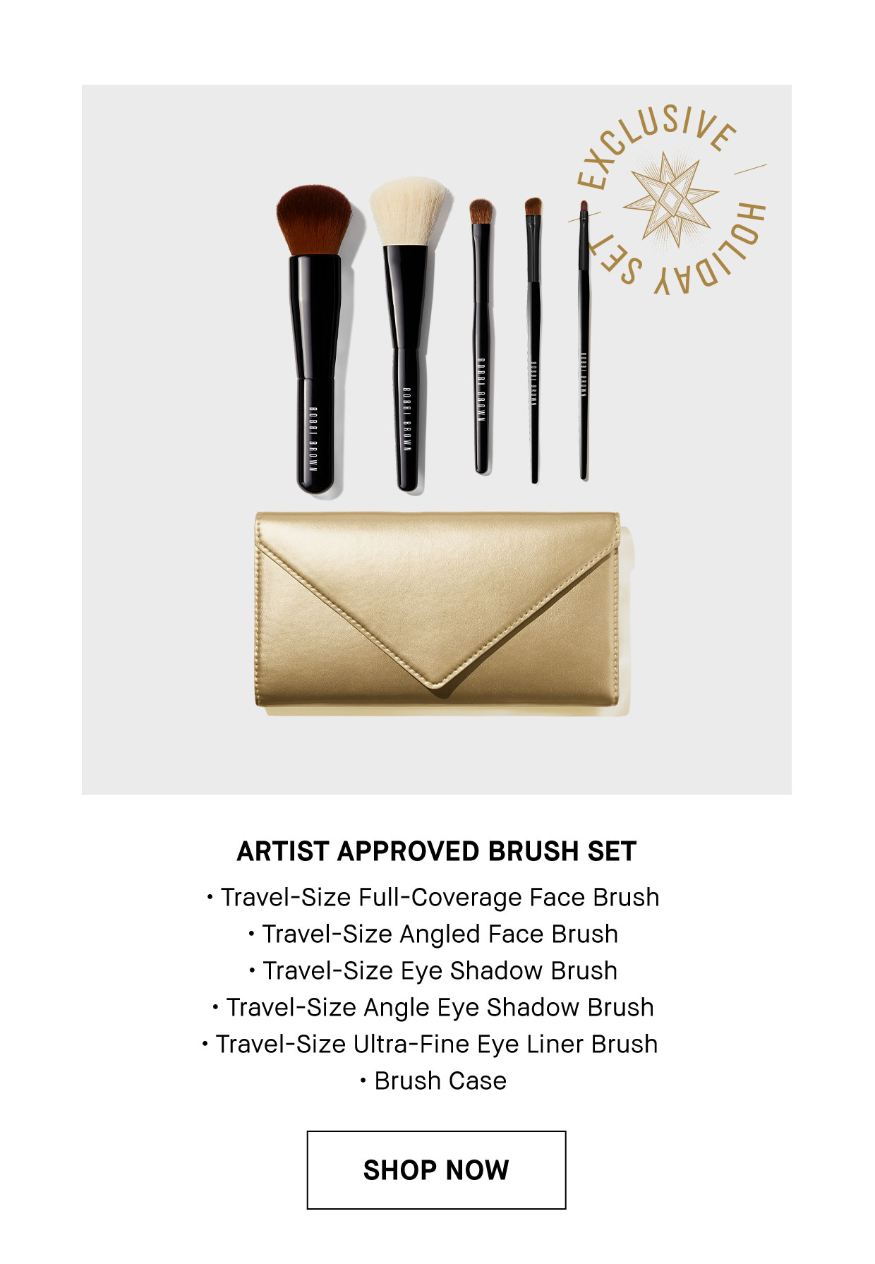 Bobbi Brown Artist outlet Approved Brush Set