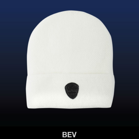 BEV