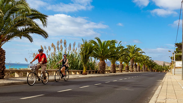 Discover Ultimate Travel Experiences with PrimoTours.dk: Your Guide to the Best Scandinavian Tours
