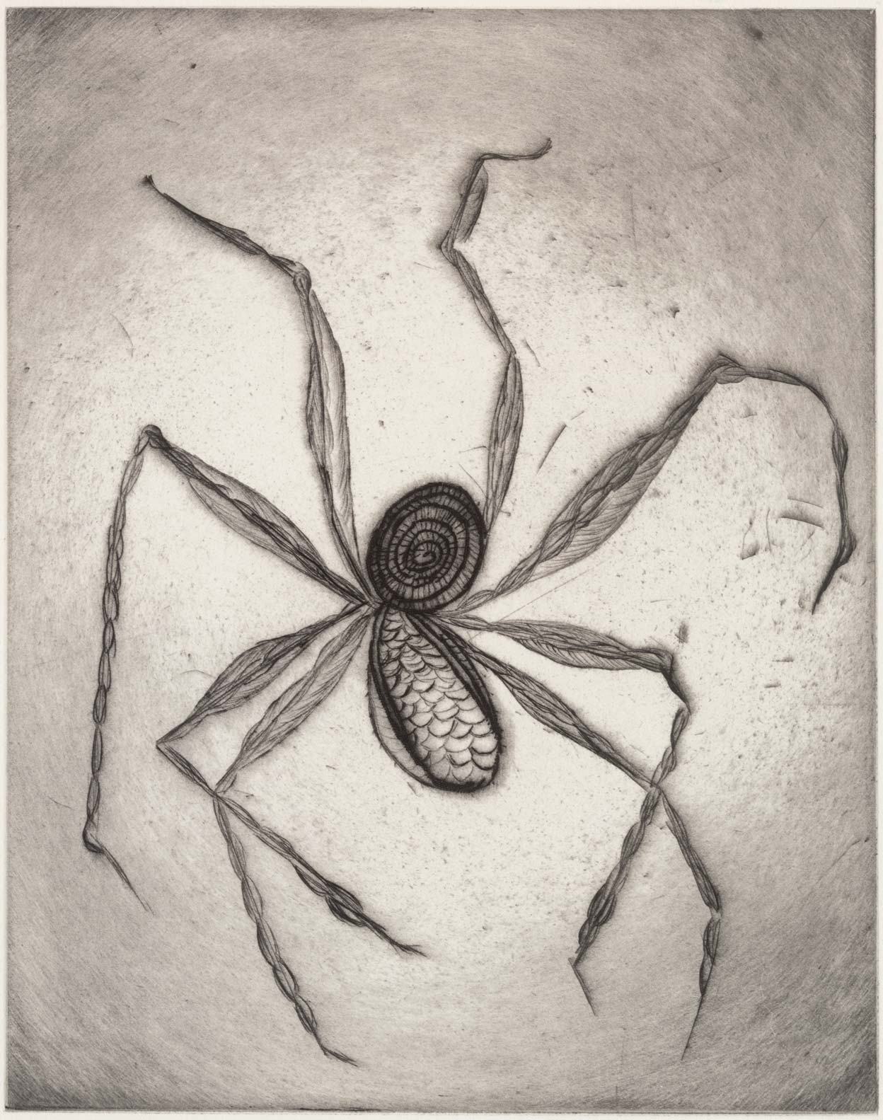 Louise Bourgeois, Spider, 1995