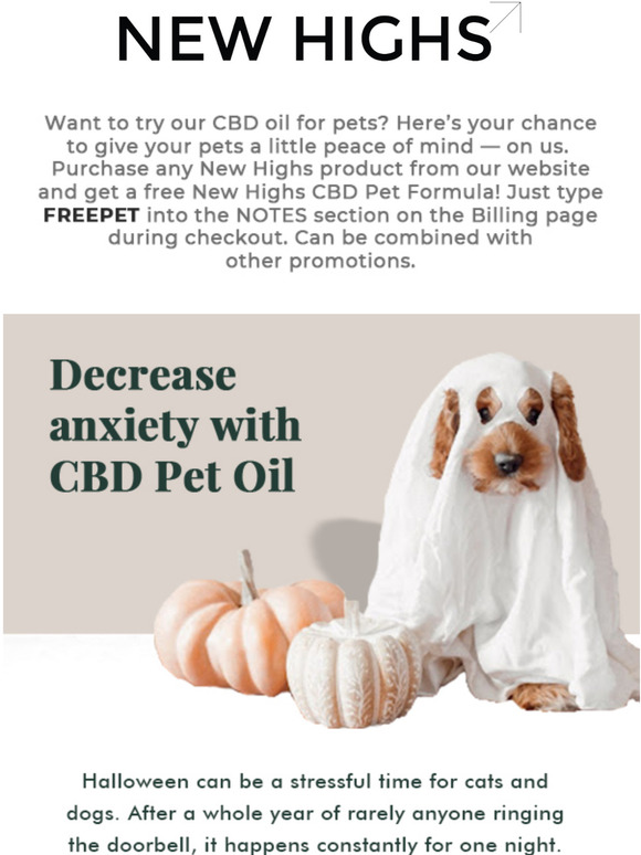 Calm Your Furry Friends Halloween Frights 