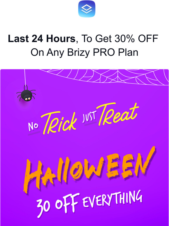 Last 24 Hours, to Get 30% OFF on any Brizy PRO Plans