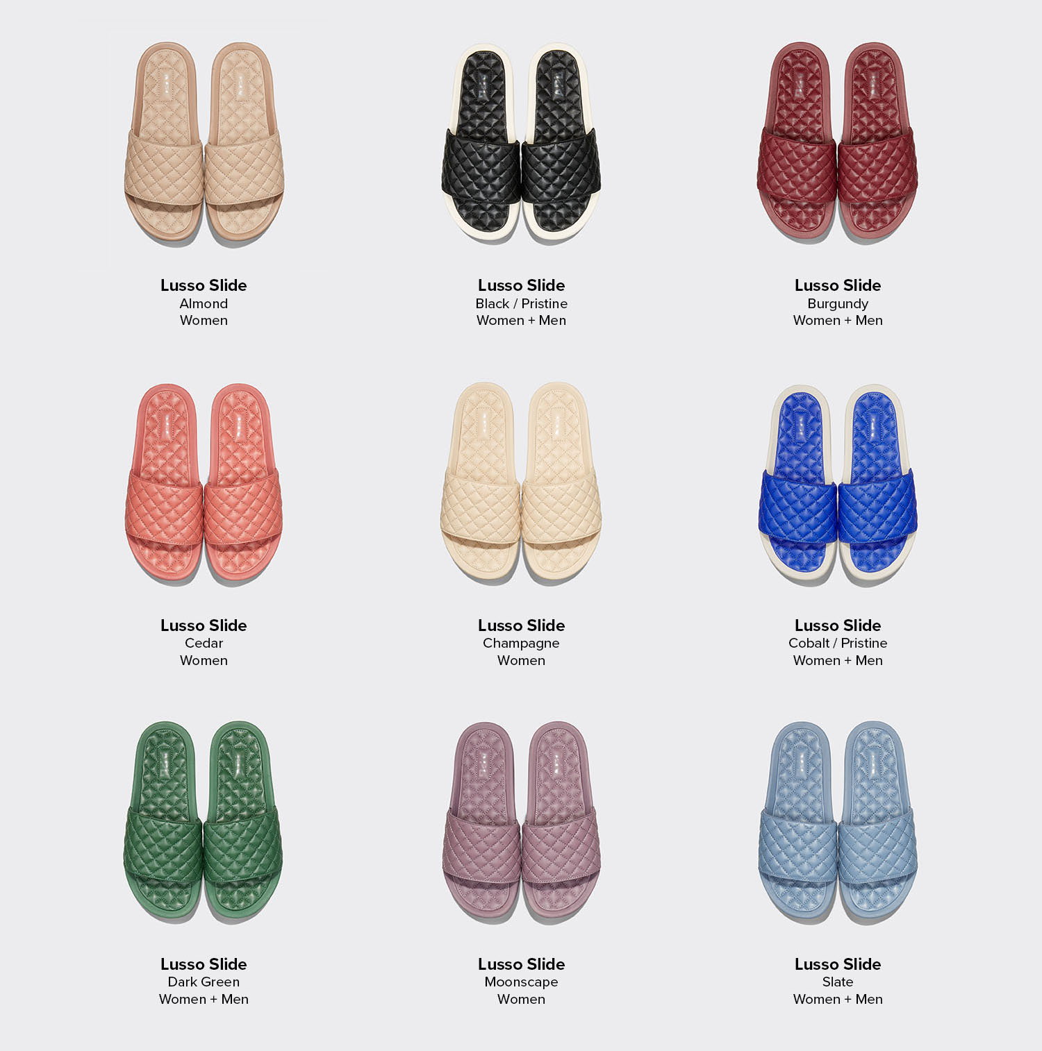 EXPLORE THE COLLECTION