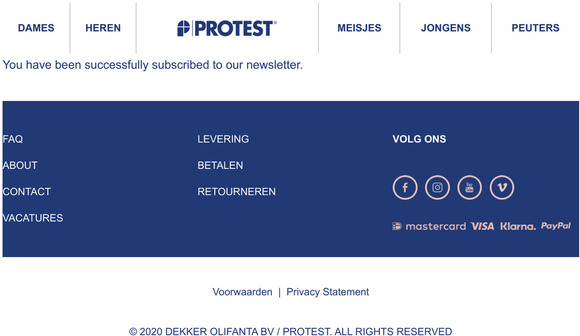 Newsletter subscription success