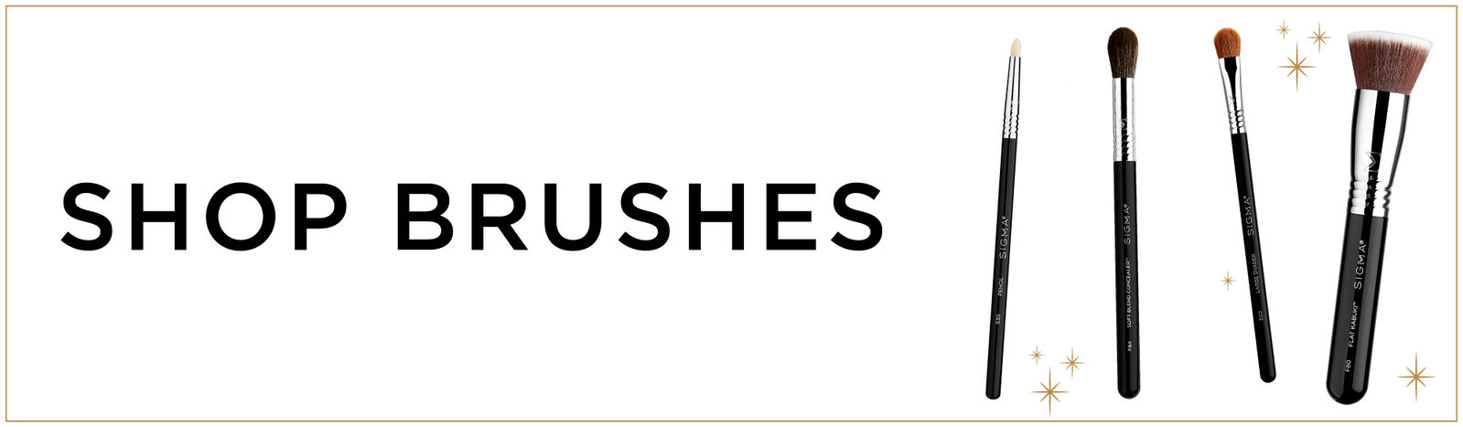 Shop Brushes