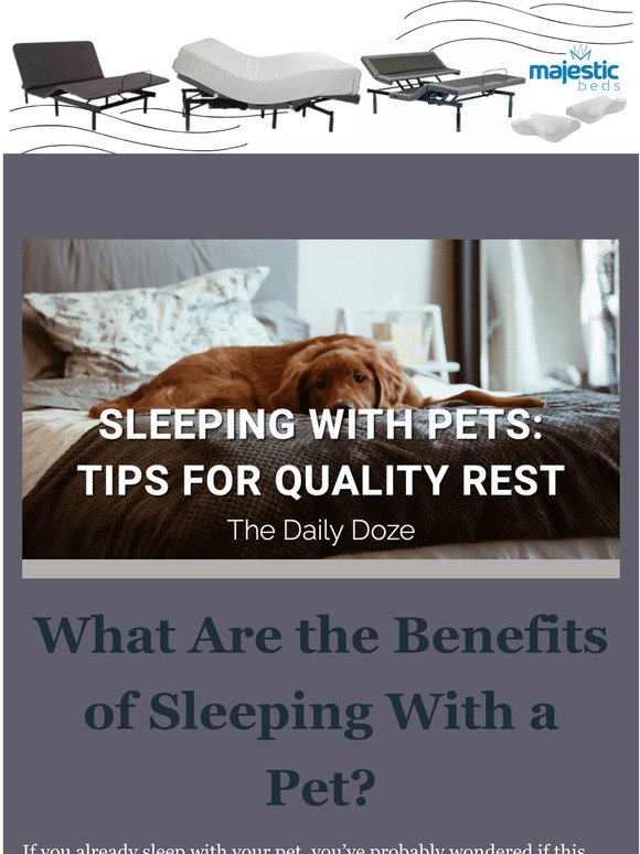 Sleeping with Pets = Quality Rest