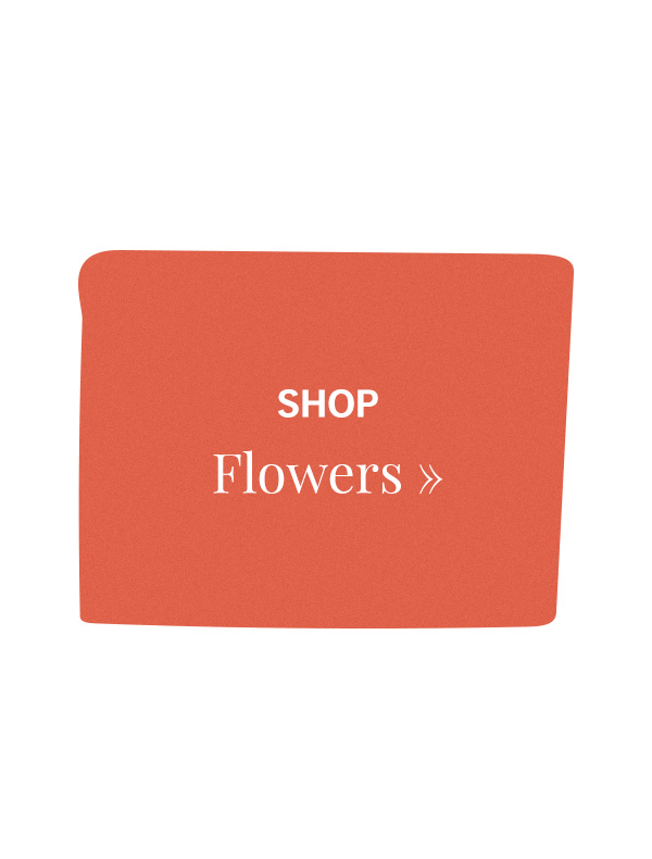 ENDS Tonight 10 Off Flowers, Gifts & Plants Milled