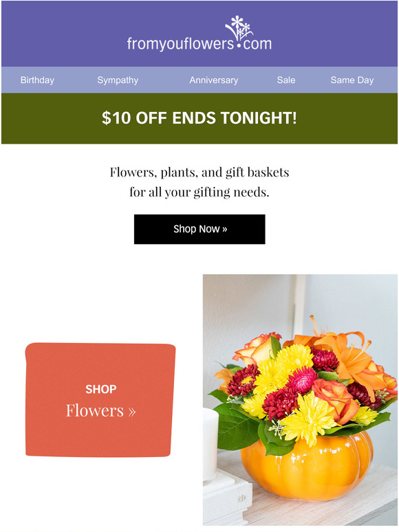 ENDS Tonight 10 Off Flowers, Gifts & Plants Milled