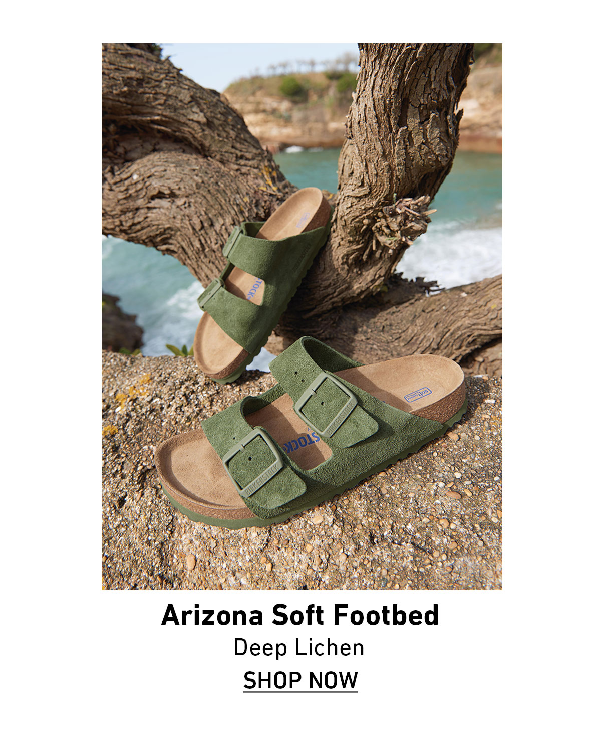 deep lichen birkenstock