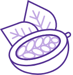 Cocoa Bean icon