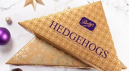 hedgehogs