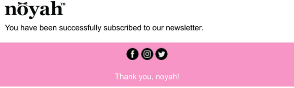 Newsletter subscription success