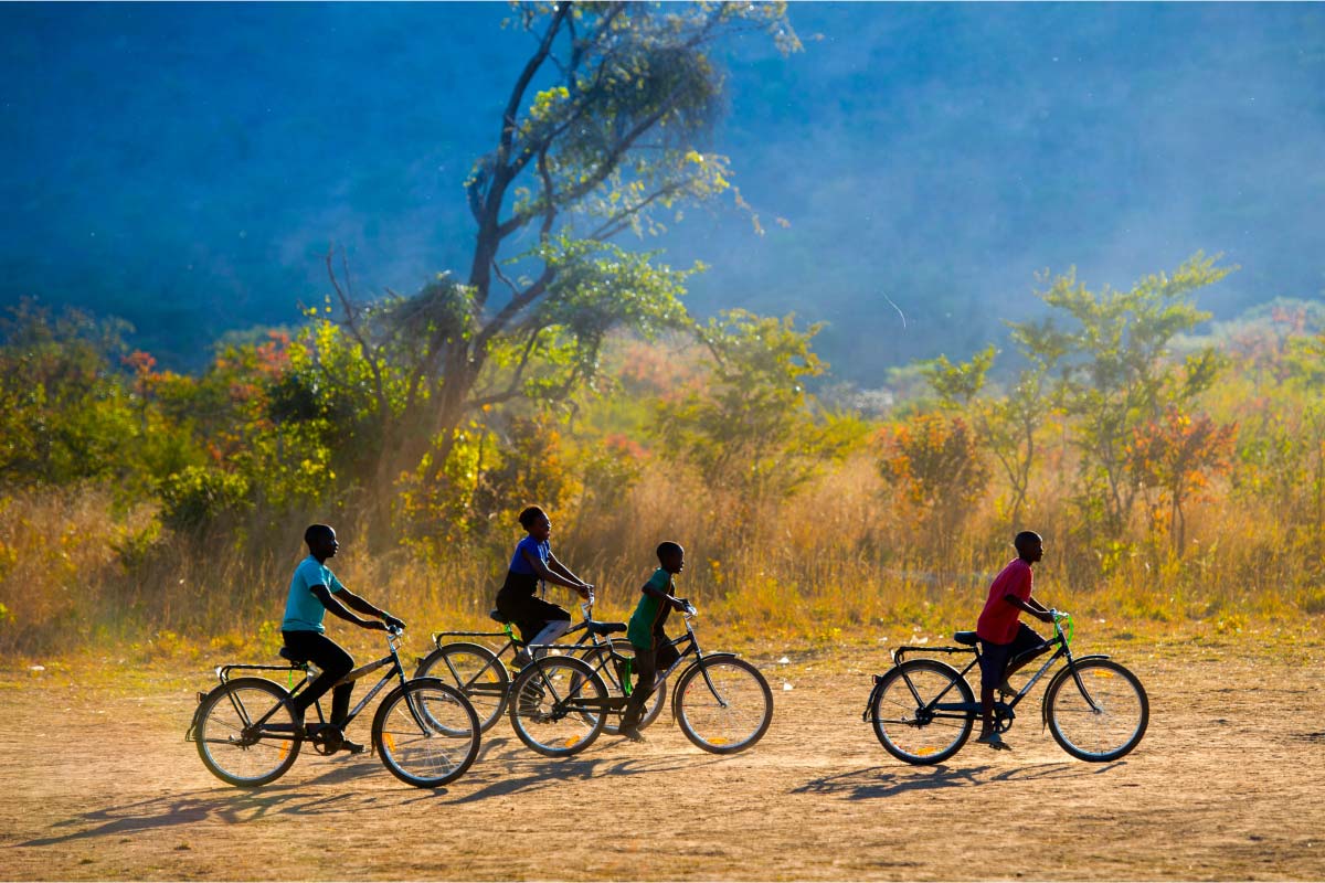 Trek Bicycle: Meet Trek's Bike of the 