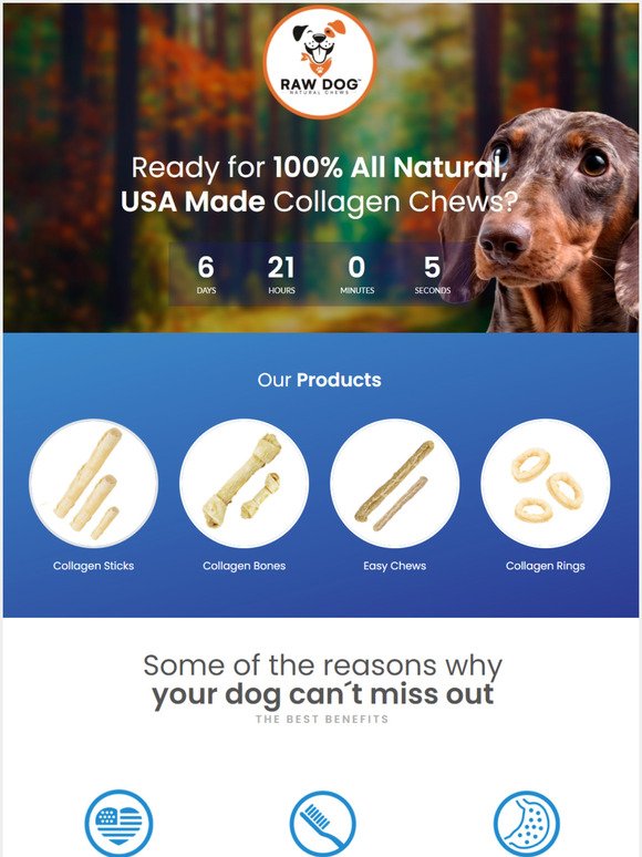 Raw Dog Collagen Chews Exclusive offer