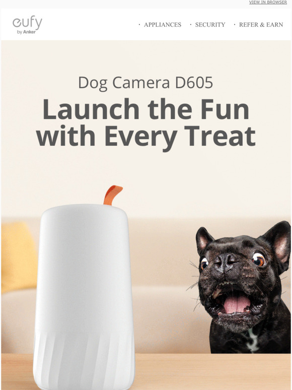 Fur Dogs Only! No Hoomans