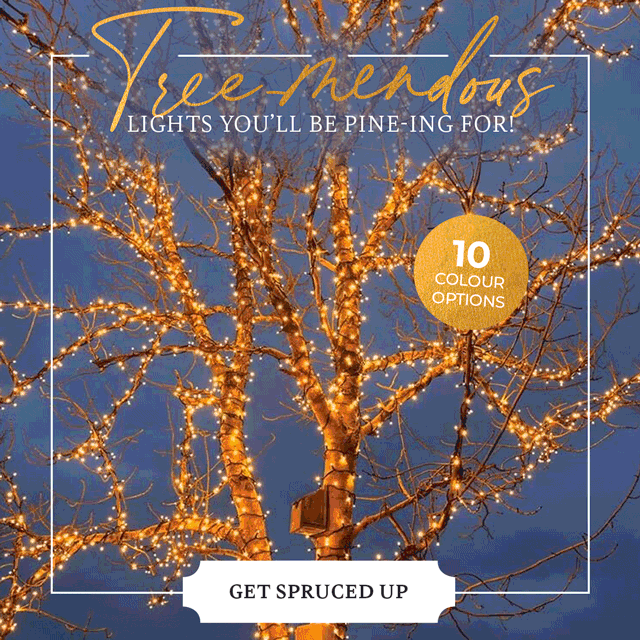 Festive Lights Get your outdoor trees all wrapped up for Christmas! Milled