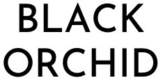 Black Orchid