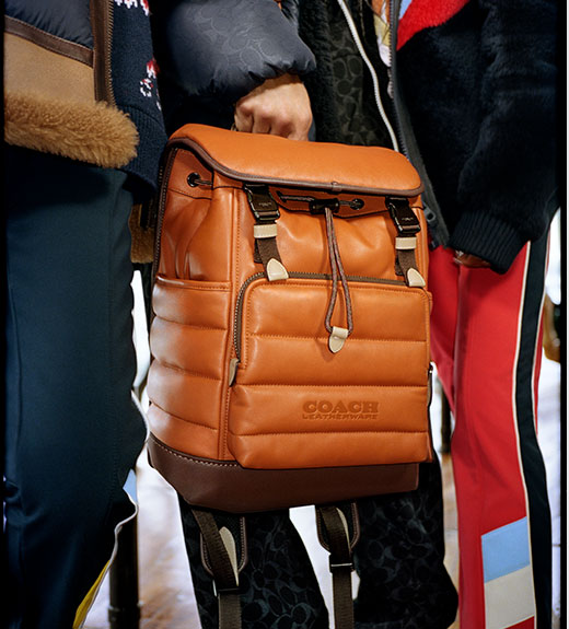 coach hitch backpack