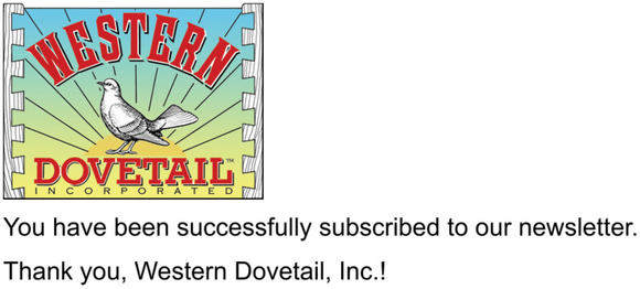 Newsletter subscription success