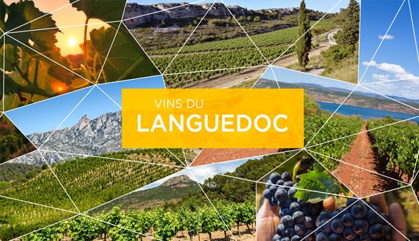 Languedoc IGP Sud
de France