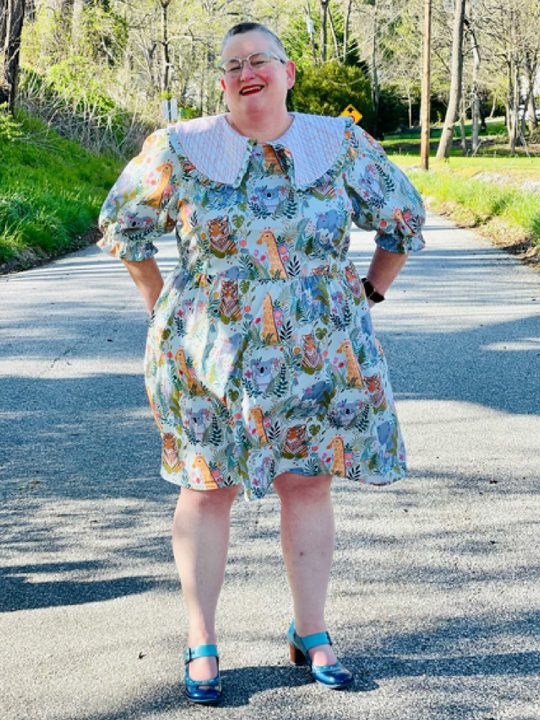 ann taylor toucan dress