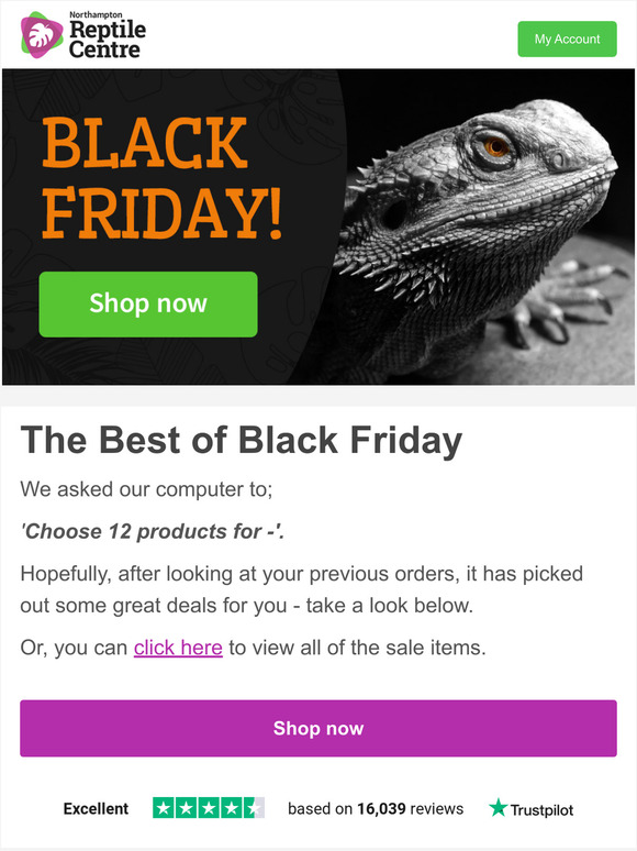 low odor bully sticks