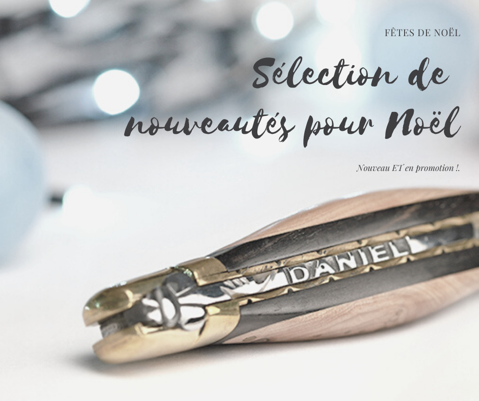 Sélection de nouveautés pour noël