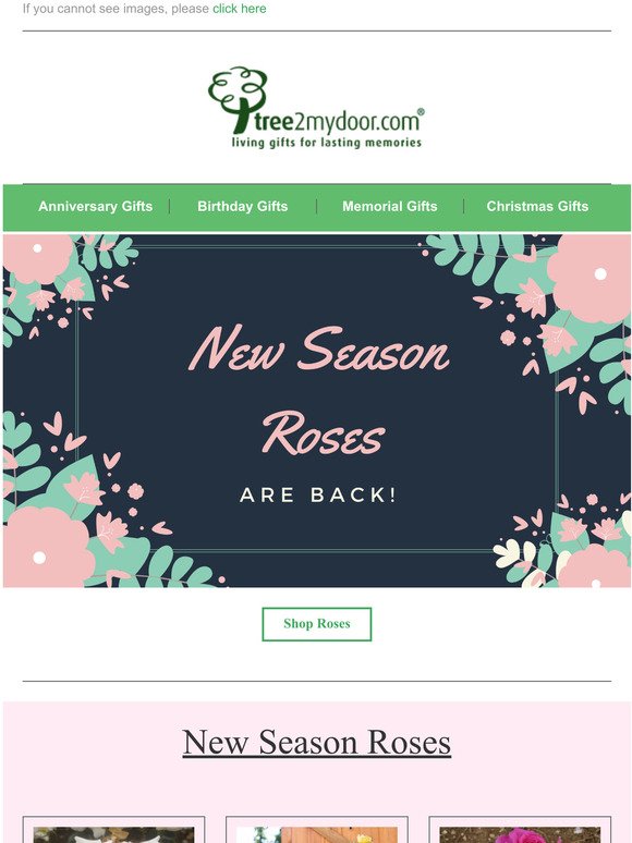 New Season Roses Are Back!