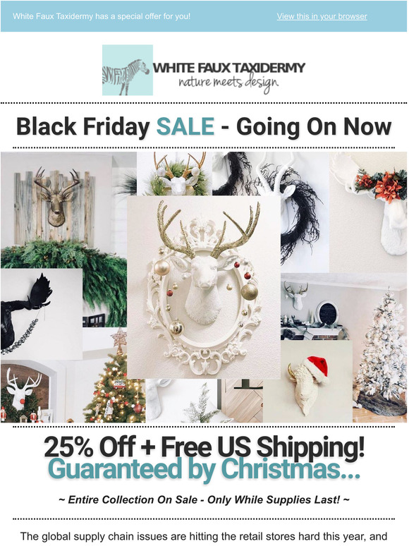 Black Friday Sale: 25% Off + Free US Shipping! Guaranteed by Christmas.